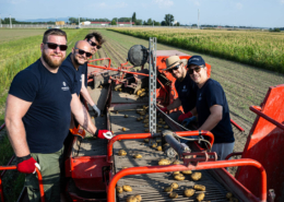 Serviceverein Round Table Wiener Neustadt Serviceprojekt Ernte Erdäpfel auf Mission 2025