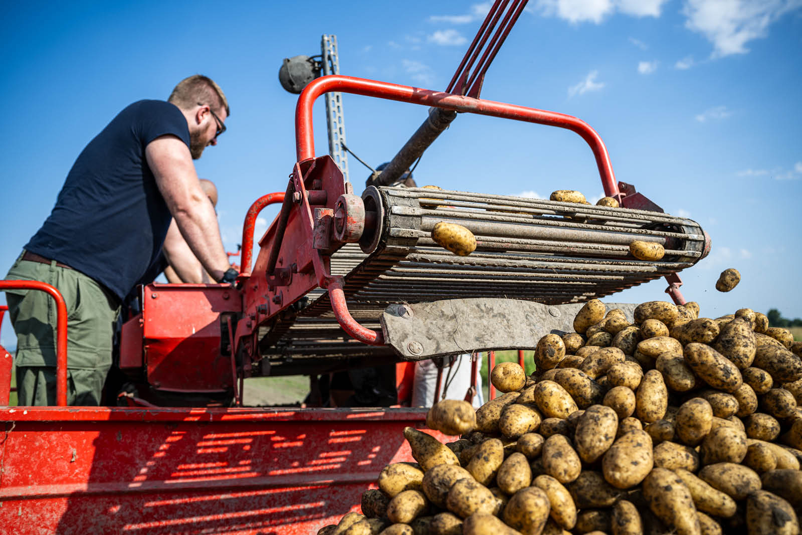 Serviceverein Round Table Wiener Neustadt Serviceprojekt Ernte Erdäpfel auf Mission 2025 (3)