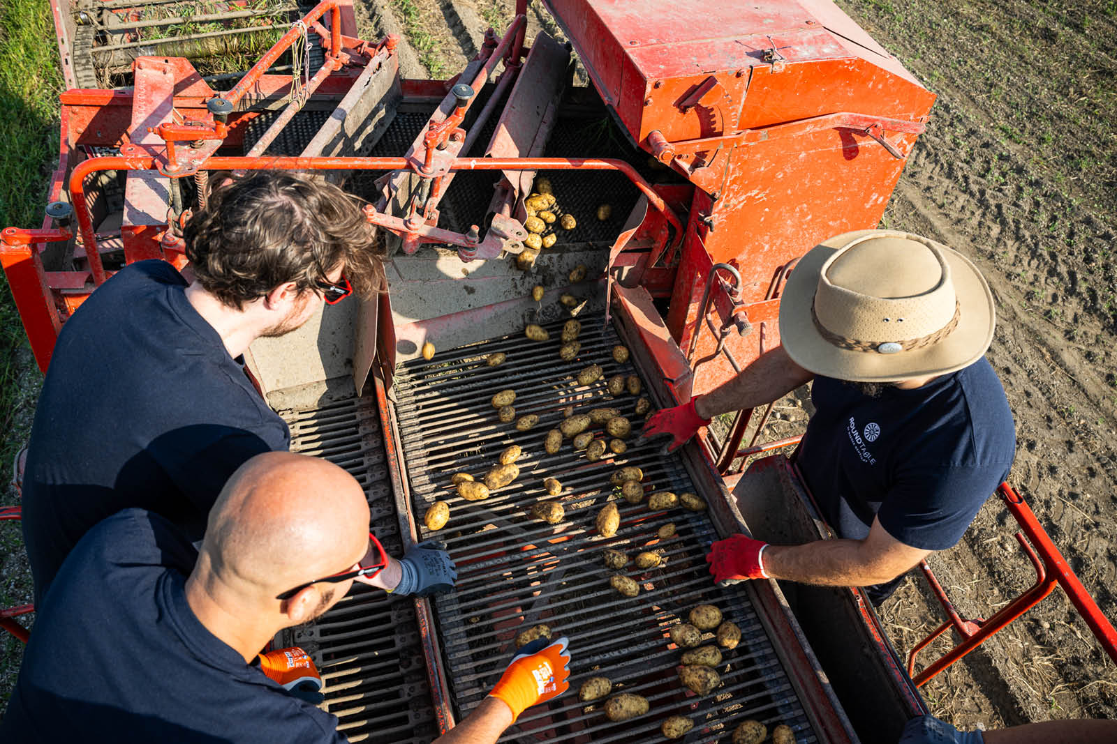 Serviceverein Round Table Wiener Neustadt Serviceprojekt Ernte Erdäpfel auf Mission 2025 (4)