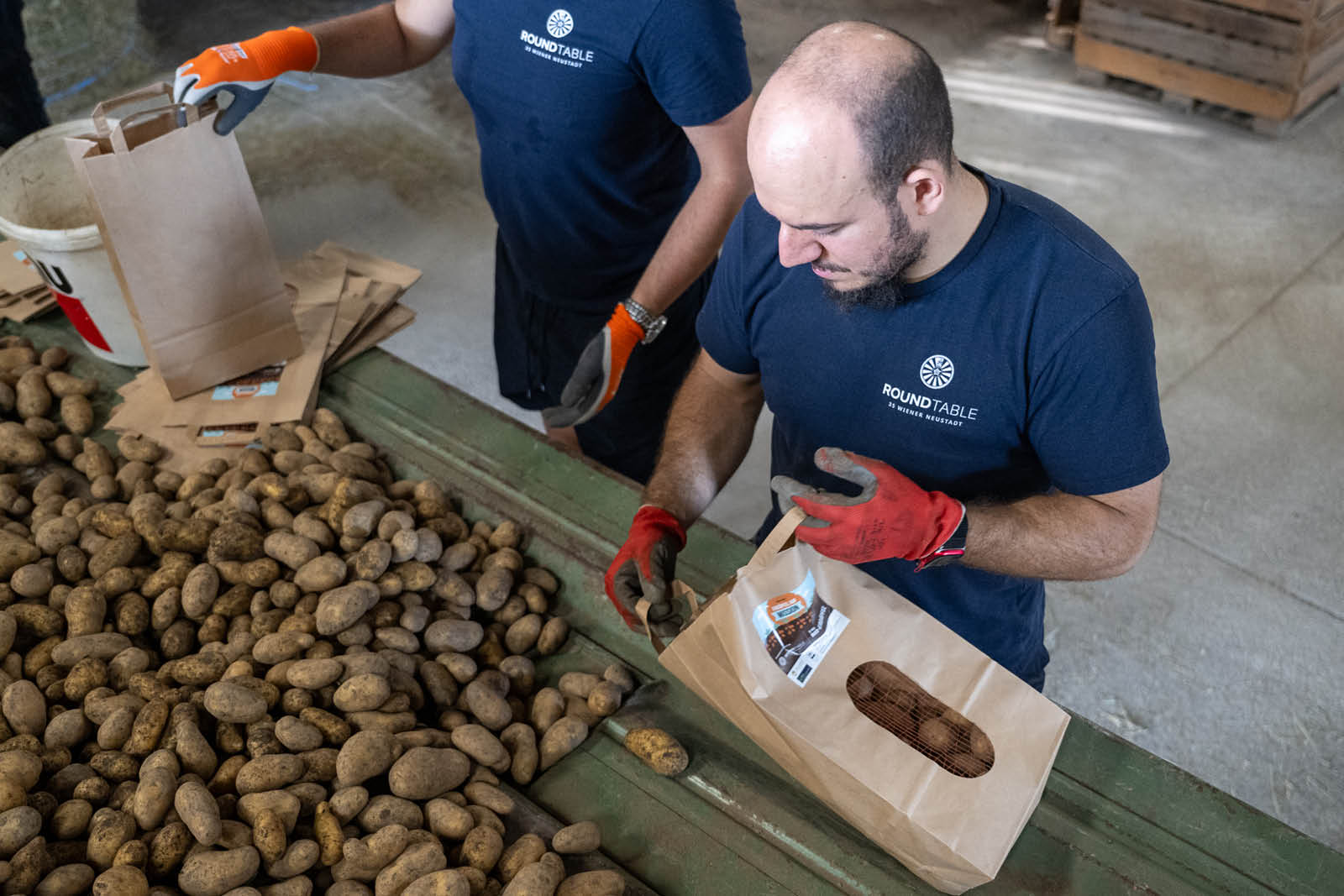 Serviceverein Round Table Wiener Neustadt Serviceprojekt Ernte Erdäpfel auf Mission 2025 (8)